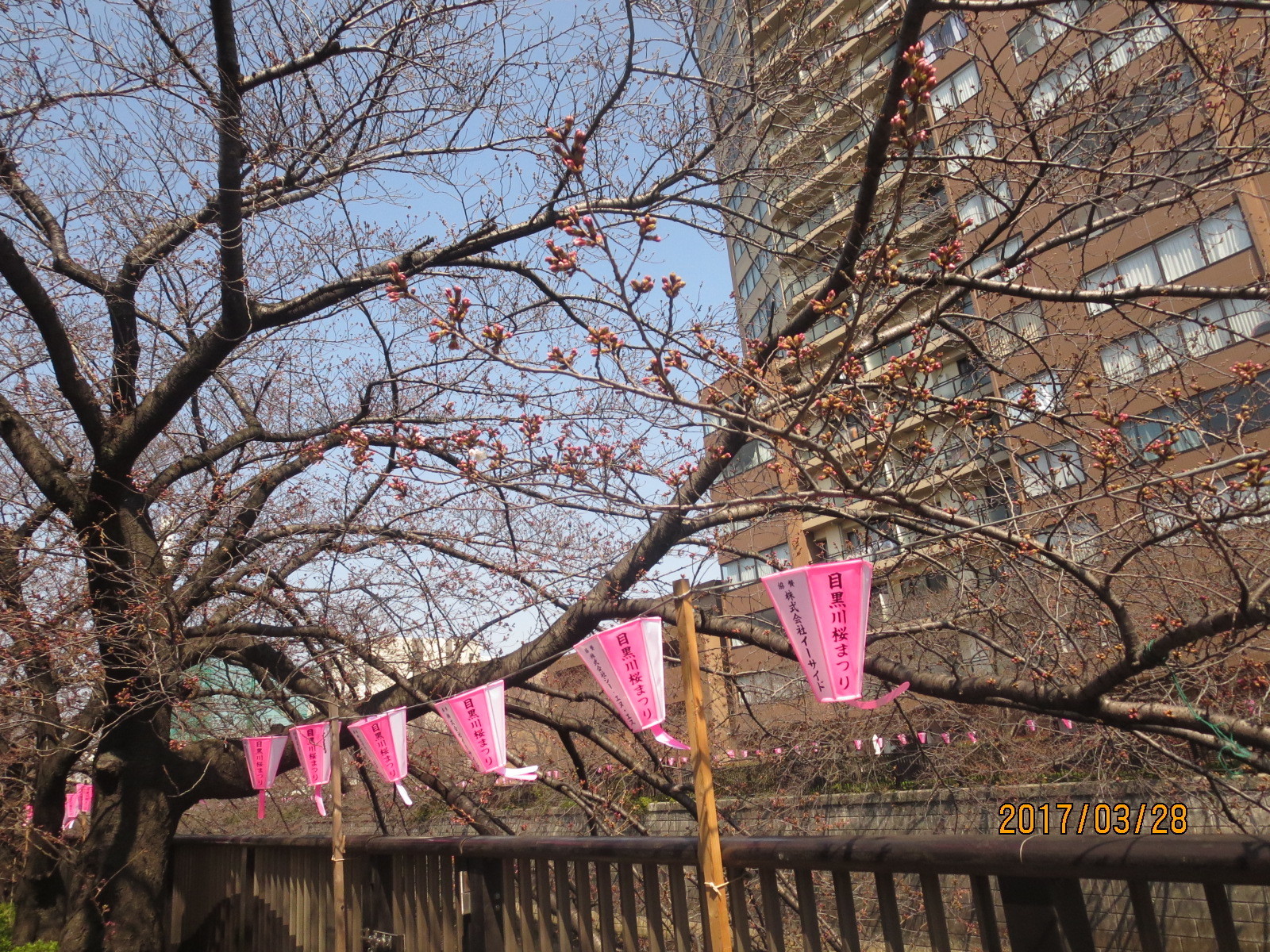 17年03月28日電気電子クラス会 (1).JPG